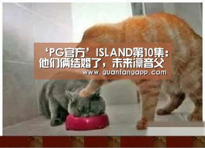 ‘PG官方’ISLAND第10集:他们俩结婚了,未来凛音父亲就是切那(图1) PG热门