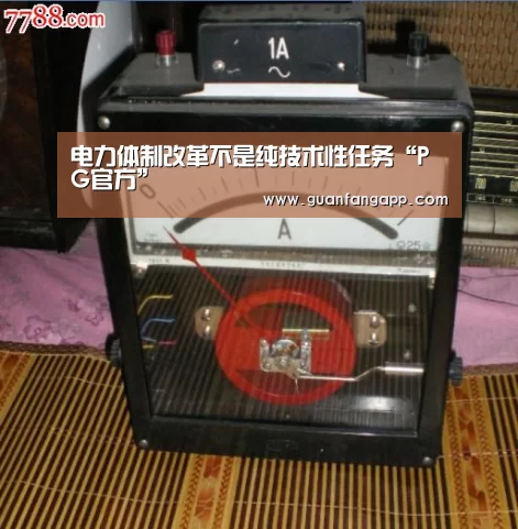 电力体制改革不是纯技术性任务“PG官方”(图1) PG老虎机